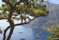 Blue Lagoon Boat Tours in Capri: Scenic Cruises & Swim Stops