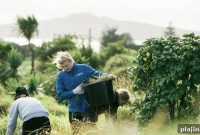 Sustainable Voluntourism: Meaningful Eco-Friendly Travel Experiences