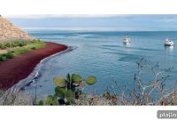 Galápagos Islands Photography: Guide to Wildlife & Landscape Shots