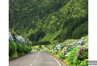 Azores Islands of Portugal: Top Natural Wonders to Visit