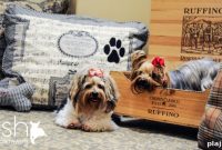 Silicon Valley’s Guide to Premium Pet Boarding and Care
