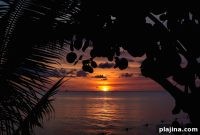Jamaica Island Treehouse Retreats: Unique Stays Above the Canopy
