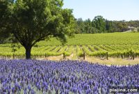 Australia Itinerary: Extraordinary Journeys Across the Continent