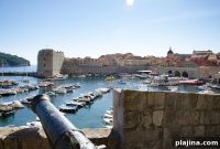 Sustainable Travel Adventures: Eco-Friendly Trips and Tips