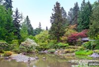 Seattle Outlook: Emerging Growth, Jobs, and Neighborhood Trends