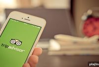 Petition Urges TripAdvisor to Add Warnings About Animal Abuse