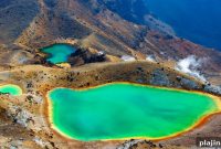 Hike New Zealand’s Te Araroa Trail: Complete Guide & Highlights