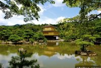 Live the Ninja Life: A Beginner’s Guide to Training and Culture