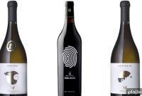 Guide to Greek Wines: Top Regions, Varieties & Tasting Tips