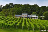 Top Virginia Wineries to Visit: Wineries, Tasting Rooms & Tours