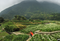 Top Luxury Spas in Taiwan: Where to Relax and Rejuvenate