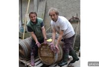 Wineries That Roll Out the Welcome Mat