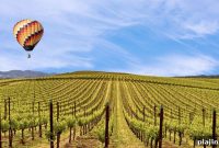 Wander Through Wine Country: Ultimate Guide to Vineyard Escapes