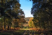 Real-Life Places from Famous Books and Movies to Visit