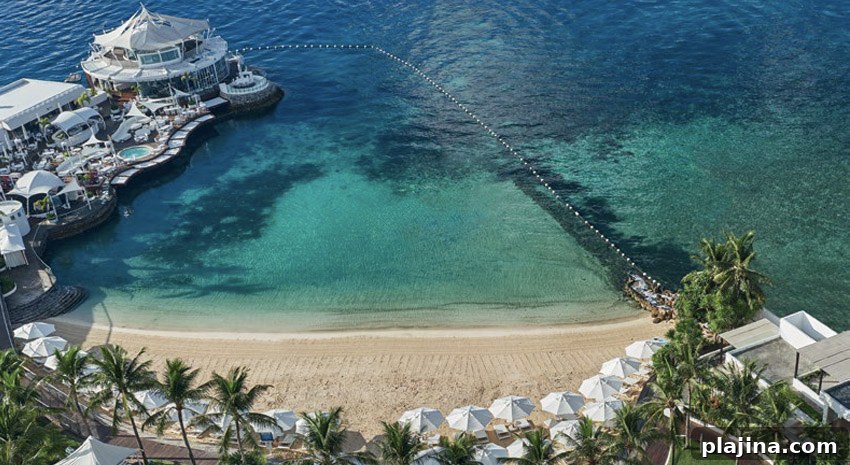 featured 87561
