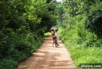 Explore Sri Lanka by Bike: Top Routes, Tips & Scenic Rides