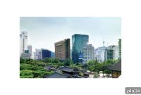 All About The Plaza Seoul: Luxury Hotel Guide & Insider Tips