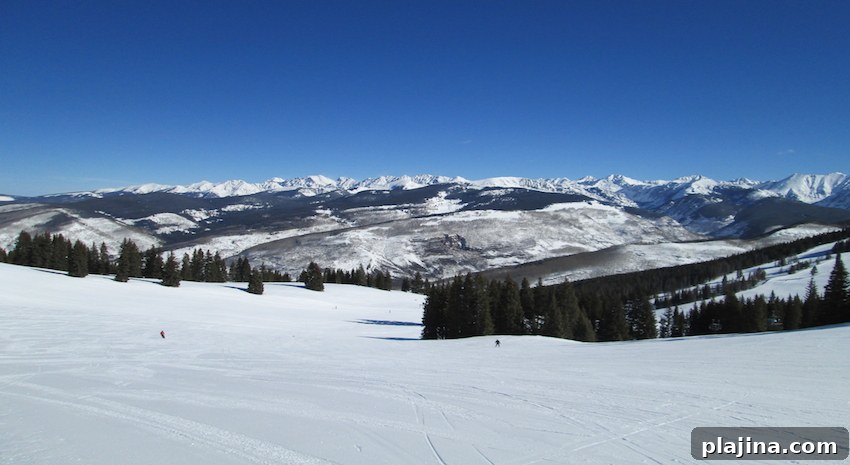 featured 88979