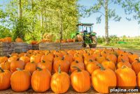 Join the Pumpkin Paddling Festival: Tips for Fun on the Water