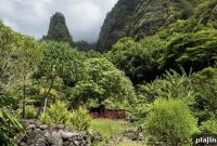Maui Tropical Escape: Top Beaches, Activities & Travel Tips