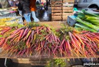 Top Cities for Vegetarian Food Lovers: 7 Must-Visit Destinations