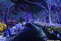 Miami Nights: Ultimate Guide to Nightlife, Events & Clubs