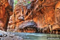 Zion National Park Guide: Top Hikes, Views & Visitor Tips
