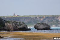 Explore Puerto Rico’s Isla de la Mona: Natural Wonders & Wildlife