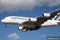 Top Destinations and Airlines for Traveling with Pets