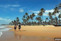 Luxury Resort Collection Launches in South Goa: Top Picks & Reviews