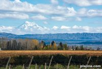 Charming Small Towns to Visit in Argentina