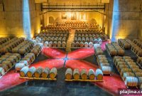 Top 7 Wineries to Visit in Argentina for Wine Tours