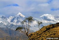 New Year Walking Meditation to Start Your Year Mindfully