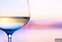 Wine Trivia Quiz: Test Your Knowledge of Wines and Varieties