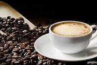 Starbucks Launches Exclusive Coffee Sanctuary in Indonesia