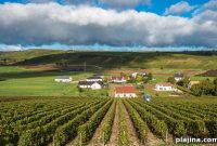 Discover the Romance of France’s Loire Valley