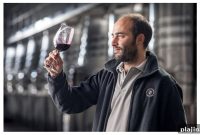 Trivento Winery in Mendoza: Wines, Tours & Tasting Guide
