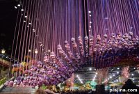 Guide to Visiting the Philadelphia Flower Show: Tips, Tickets & Highlights