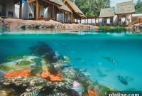 Top Scuba Diving Destinations Around the World