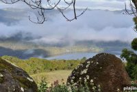 Chappellet Winery: A Guide to Their Napa Valley Wines