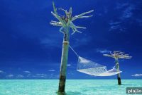 Polynesian Paradise: Your Guide to Islands, Culture, and Travel Tips