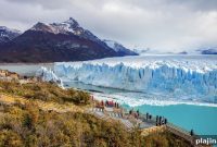 Patagonia Travel Guide: Top Experiences & Scenic Highlights
