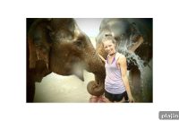 LGBTQ+ Voluntourism: Top Inclusive Volunteer Trips Abroad