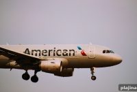 American Airlines Updates Pet and Service Animal Policy for Travelers