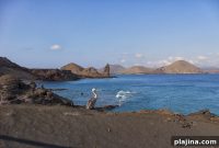 Galápagos Tourism Surges: Top Experiences and Travel Tips for 2026