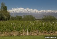Taste Argentina: Join an Exclusive Wine Harvest Resort Getaway