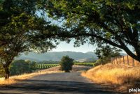 Hard Rock Cafe Opens New Wine Country Outpost: What to Know