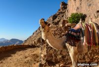 New Tour Guide Program Advances Women’s History and Rights in Egypt