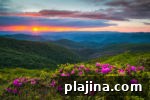 Top 7 Summer Road Trip Destinations in the U.S. 9 img 101277 16