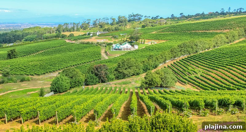South Africa